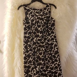 ANN TAYLOR Super Cute Leopard Print Dress